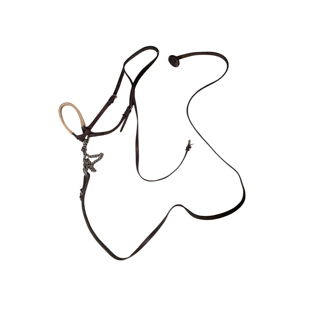 Vintage Dark Brown Leather Training Halter with Chain Lead and Padded Noseband